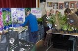 Plant Sales table