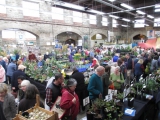 Tavistock Plant Fair Spring 2014