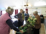 Plant Sales in full swing