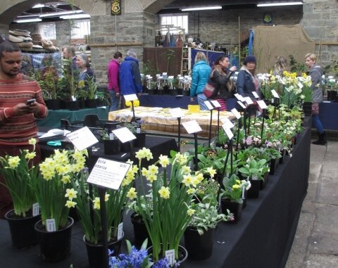 Tavistock Plant Fair Spring 2017